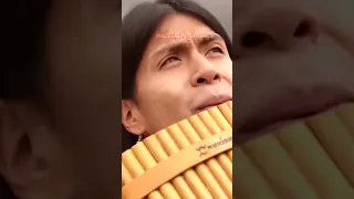 موسيقى مونامور الأصلية  موسيقى مونامور الأصلية