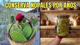 El Truco de la Abuela para Conservar Nopales Todo el Año 🌿