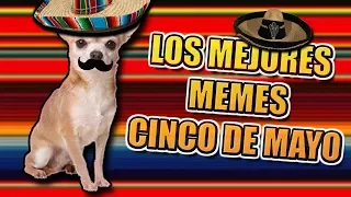 LOS MEJORES MEMES DEL 5 de Mayo Version 2016