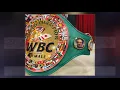 World Boxing Council
