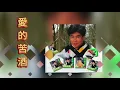 Download Lagu 李進才  Li Jin Cai 浪子淚＋今夜雨蒙蒙＋一支小雨傘＋愛的苦酒＋為什麼要流淚＋夕陽紅＋無情火車