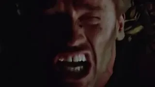 The Predator An Unbridled Rage 