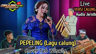 pepeling lagu calung cover teh winwin genjlong music terbaru