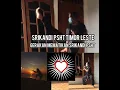 Download Lagu Gerakan mematikan Srikandi PSHT Timor Leste || salam dari Srikandi PSHT Timor Leste