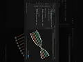 I built a 3D DNA Helix with Pure CSS