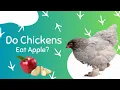 Is It Safe For Chickens To Eat Apples Do Chicken eat apple