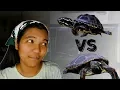 BEST BEGINNER TURTLES Which turtle is best for me