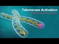 Download Lagu 𝄞 Telomerase Activation! ~ Telomere Rejuvenation for Eternal Youth V2.1 ~ Classical Music