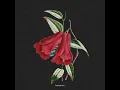 Download Lagu BOY PABLO - Flowers