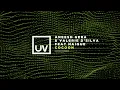 Aneesh Gera & Valerie D'Silva feat Naique - Cocoon