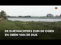 Download Lagu Waterschap Hollandse Delta traint dijkwachters voor stormseizoen