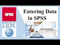 Basic Data Coding in SPSS Rules of coding Data entry Inserting or Deleting cases variables