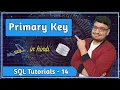 Primary Key in Database Section 3 - Database Terminology SQL Tutorial PART 14