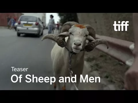 OF SHEEP AND MEN Trailer | TIFF 2017