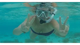 Iguana Attack! – S1:E11