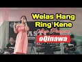 Walas Hang Ring Kene OQINAWA || Alya Pangesty || Aniv PASTI Karangkemojing