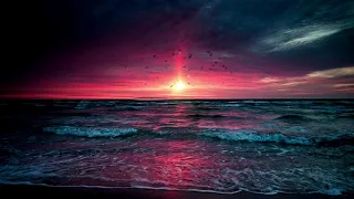 فيديو للمونتاج 2020 بحر شاطئ غروب الشمس مع صوت أمواج البحر وطيور النورس Relax تصميمي FHD 