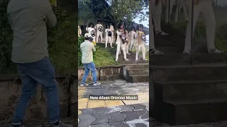 New Afaan Oromoo Music Sirba Haaraa Tadala Gamachu 2023 