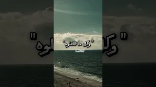 مسلم انا الطفل الي شيبتو غزة فلسطين 