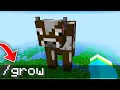Minecraft has WEIRD Secret Cheats