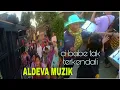 Download Lagu AOLINA Abang Roni COVER ALDEVA MUZIK DANGDUT JALANAN
