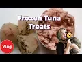 Two Easy and Delicious Frozen Popsicle Recipes For Your Cat Homemade Frozen Treats For Cats
