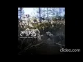 Panopticon – .​.​.​And Again Into The Light [2021]