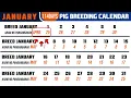 PIG BREEDING CALENDAR