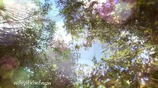 يارب يا الملك لك و الأمر  لك ما أعدلك دندنها