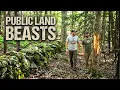 Lucas Benoit Johnny Stewart Scouting Massachusetts Mature forest