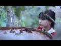 Download Lagu So this video called the life of chilli? 蒸个剁椒鱼头 ，扯个红油面皮，所以,这个视频叫“辣椒的一生”？| Liziqi Channel