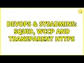 DevOps SysAdmins Squid WCCP and Transparent HTTPS