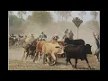 Download Lagu Hakainde Ngali Matongo Okwenu, Tonga music