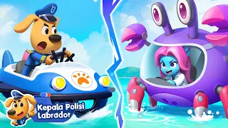 Petualangan Kota Air Episode 31-35🌊 | Seri Baru: Kota Air!🌊| Kartun | Kepala Polisi Labrador
