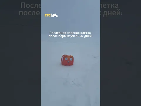Как проходит начало школы? | СТС Kids