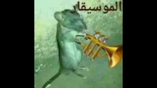 نغمة هاتف مضحكه 