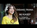 Download Lagu Endang Triana - Nu Kasep - Official Video Clip