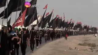 يومك يابو الاحرار ماصح مثيله فوك الجمر مولاي نتعنه الك حفاي حالات واتس اب زياره الاربعين 