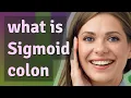 Sigmoid colon meaning of Sigmoid colon