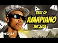 Download Lagu BEST OF AMAPIANO MIX 2025 | DJ WEBABA