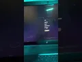 TESTING MY AUTOSCRIPTED SOUNDSWITCH HIP-HOP TRACKS