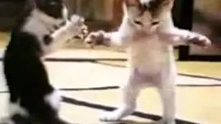 شلونكم شلون صحتكم هذا المقطع كثير يضحك بس لا تنسون الاشتراك و اللايك دندنها
