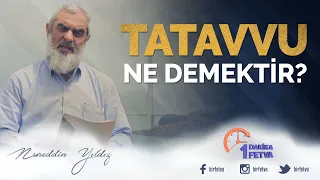 Tatavvu ne demektir?