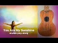 Download Lagu You Are My Sunshine - Ukulele playalong for Beginners - New Improved Version