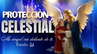 🔴Oración de Protección Celestial con los Santos Ángeles🧚🏻‍♂️ #OracionDeLaMañana  #AngelDeLaGuarda