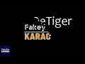 Blu DeTiger - Elevator [Karaoke]
