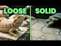 The Superior Bearded Dragon SUBSTRATE on a budget