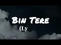 Bin tere(lyrics)-Shaqfat Amanat Ali