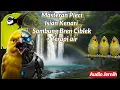 Lagu Masteran Pleci Isian Kenari Sambung Bren Ciblek + Terapi Air, Cocok Untuk Cetak Anakan Plecimu