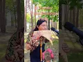 Download Lagu El condor pasa bamboo flute #music #panflute #cover #instrumental #musica # #remix